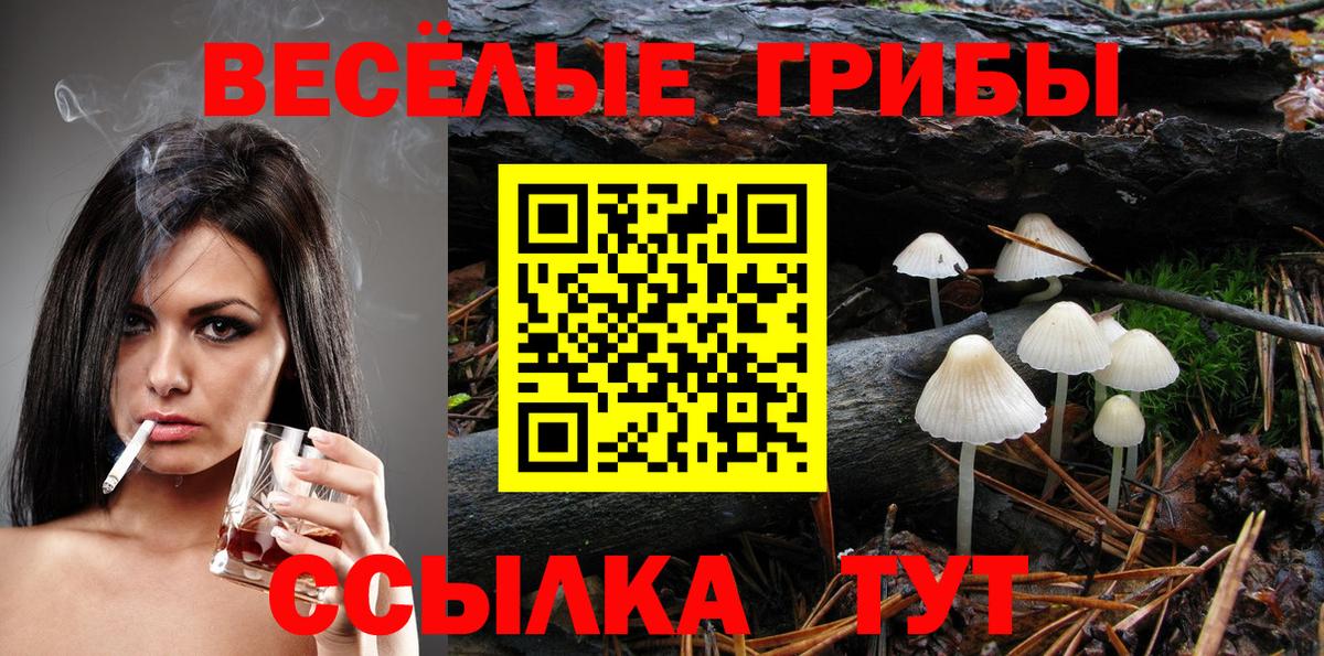 Псилоцибиновые грибы прущие грибы Архангельск