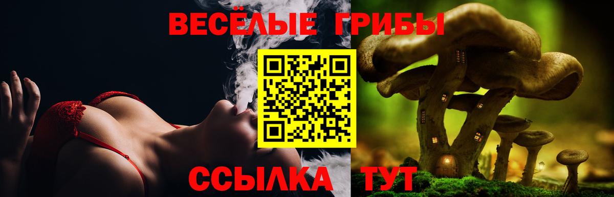 Архангельск  Галлюциногенные грибы Psilocybe  Вход с VPN 